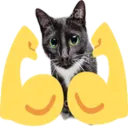 gato_strong
