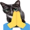 GatoPray