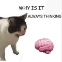 whyisitalwaysthinking Discord Emoji