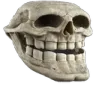 homotrollus