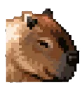 BaraBrain