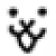 theFace2
