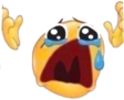 waa Discord emoji