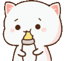 cat_bottle