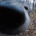 greygoproyes
