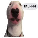 bruh