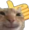 Cat_Thumbs_Up_2 Discord Emoji