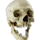 skullPog