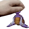 TurtlePet
