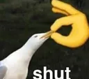 shut