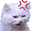 dishragAngy
