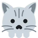 skull_cat
