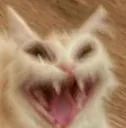 scream scream