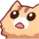 shockedkitty