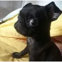 ojito