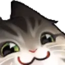 cat_uwu cat_uwu