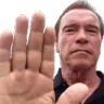 arnoldHalt