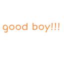 goodboy