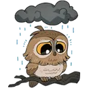 Tearful