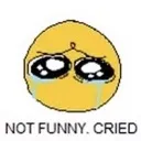 notfunnycried