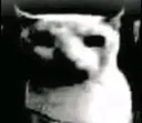 AAAAAAA