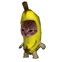 Bananacat bananacat Discord Emoji