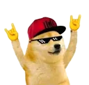 VE_Yo