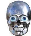 Eekum_Bokum