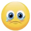 cutefunny cutefunny