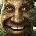 wise_mystical_tree_cool