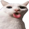 verysillycat verysillycat