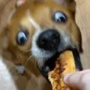 rustybite rustybite