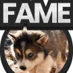 teamjazcashfame