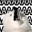 AAA AAA