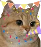 chatniversaire