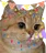 :chatniversaire: chatniversaire