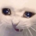 PF_Crying_Cat