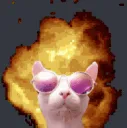 BingBoom