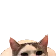 boolurks
