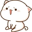 cat_complain