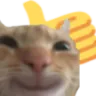 cat_thumbs_up