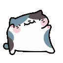 KiuwtCat
