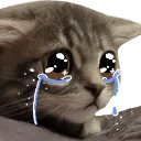 cat_sad_anime