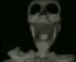 skullSpin