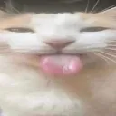 bleehhh