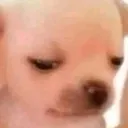 aw