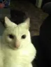 meknowingdamnwell
