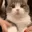 LOOKATTHISFUCKINGCAT