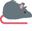 ratdance