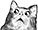 catshocked